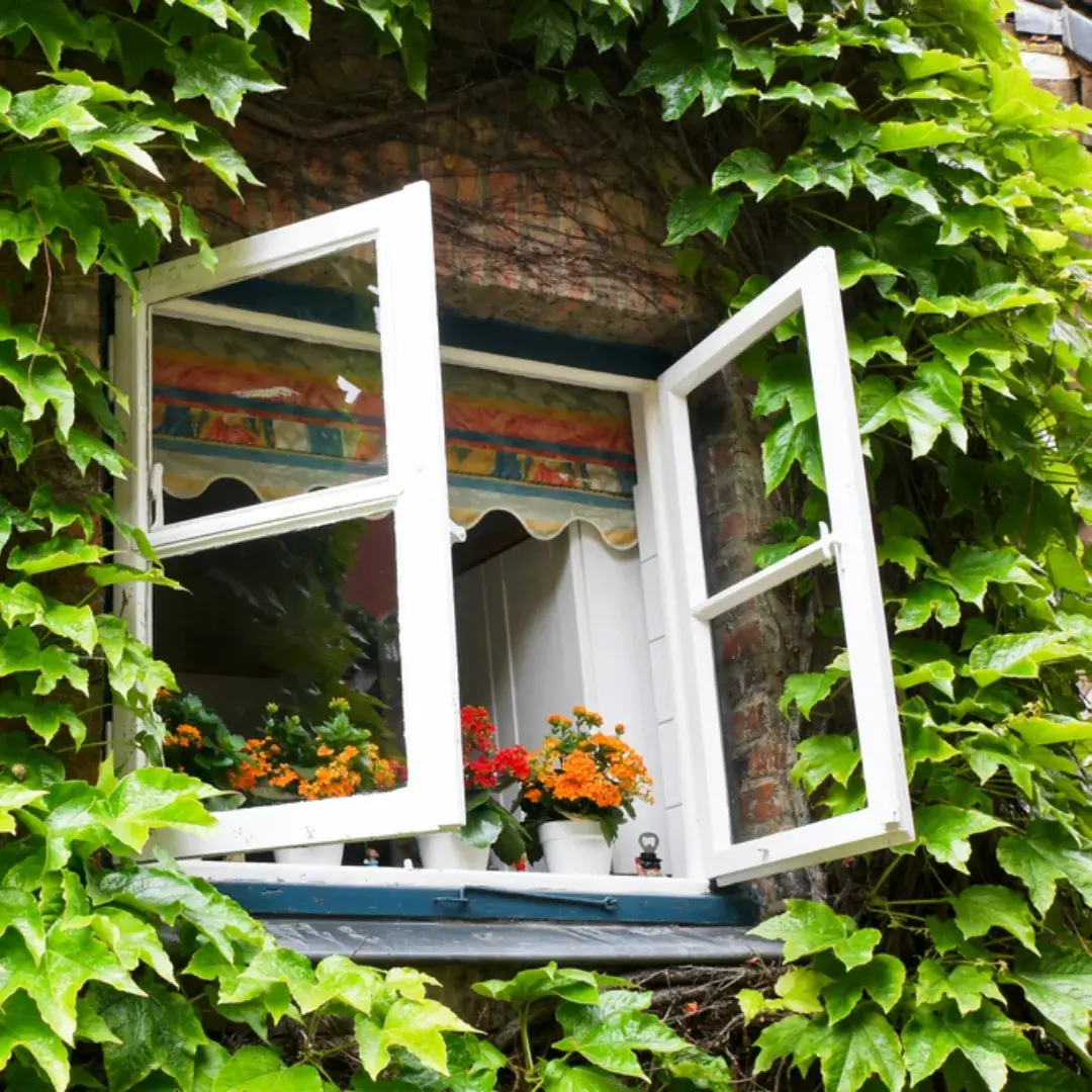 A white casement window surrounded by lush green ivy and vibrant orange flowers.